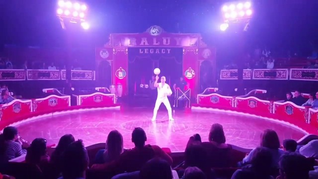 Circus Full Act