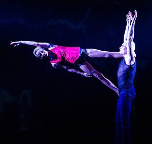 Circus performer Duo Ogor<div class="yasr-vv-stars-title-container"><div class='yasr-stars-title yasr-rater-stars'
id='yasr-visitor-votes-readonly-rater-dc06065dc93f7'
data-rating='0'
data-rater-starsize='16'
data-rater-postid='4419'
data-rater-readonly='true'
data-readonly-attribute='true'
></div><span class='yasr-stars-title-average'>0 (0)</span></div>