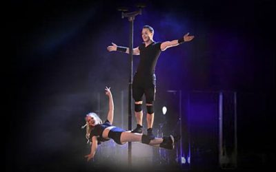 Gravity Duo Pole